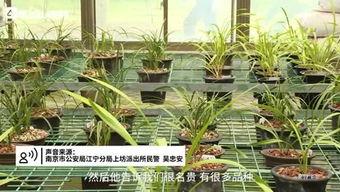 紫金山视频爆料大全下载,揭秘热门事件幕后真相 第2张 紫金山视频爆料大全下载,揭秘热门事件幕后真相 第2张