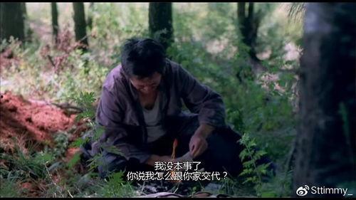 叶落归根在线观看,寻根之旅，情感共鸣的视觉盛宴  第2张