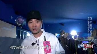 诱饵在线观看,揭秘网络陷阱的惊悚之旅